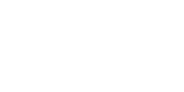 acebusinessadvice.com
